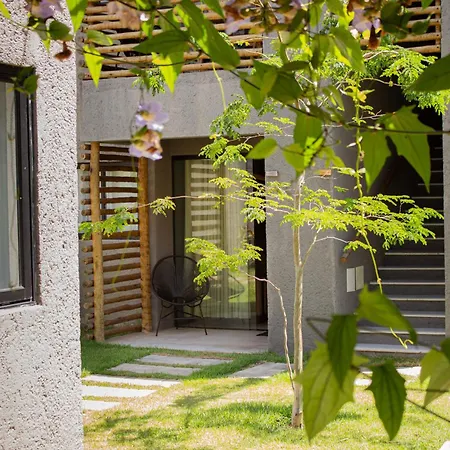 Villas Patacho Rota Dos Milagres Acomodacoes Porto de Pedras Exterior photo
